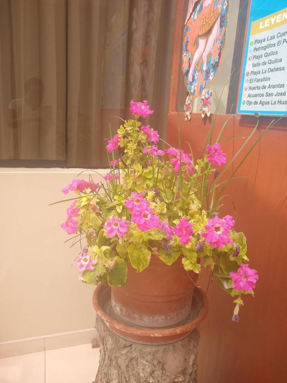 Hospedaje Golden Inn Camana Bagian luar foto